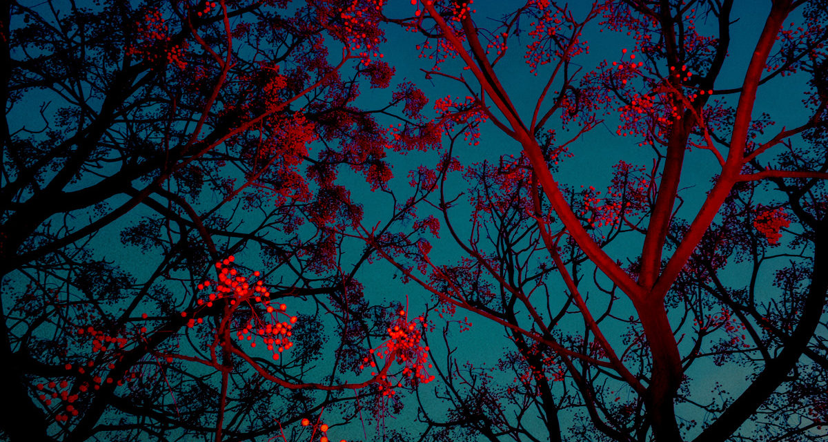 © Paul Cupido
