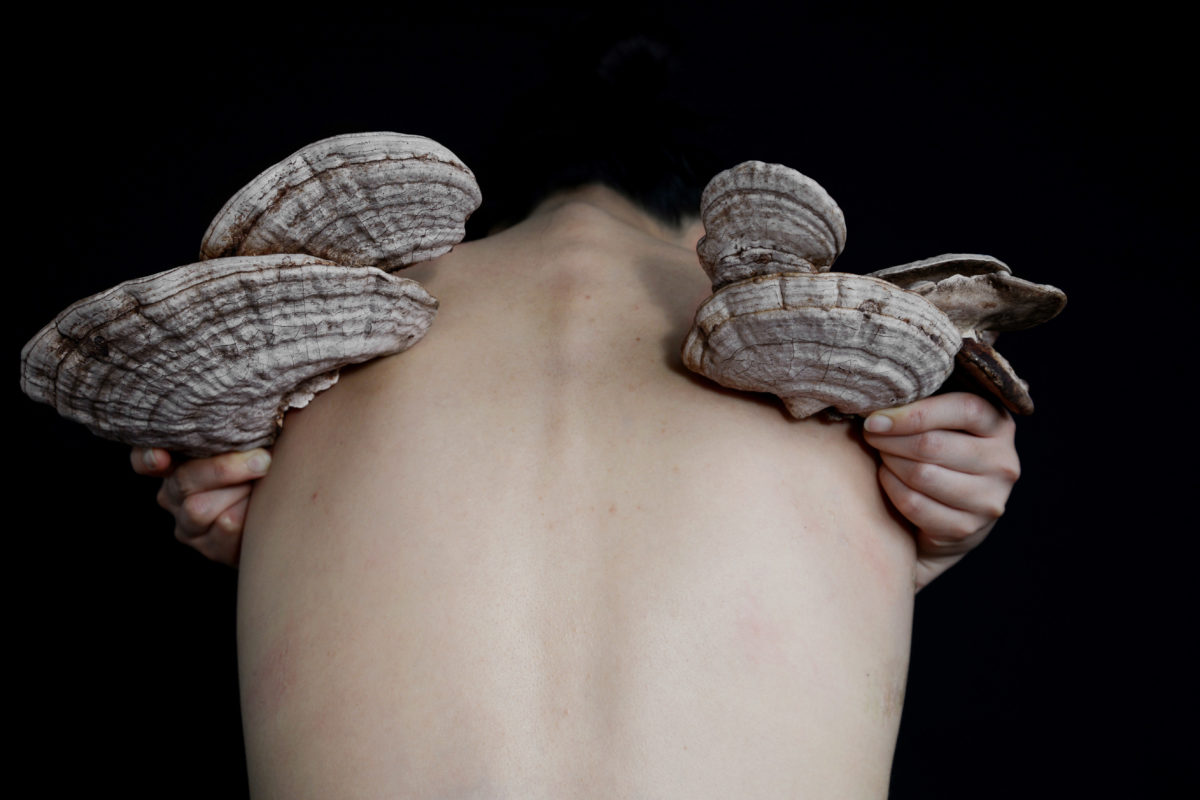 © Laurence Nicola