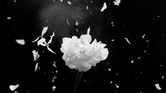 © Petecia Le Fawnhawk / Ry X