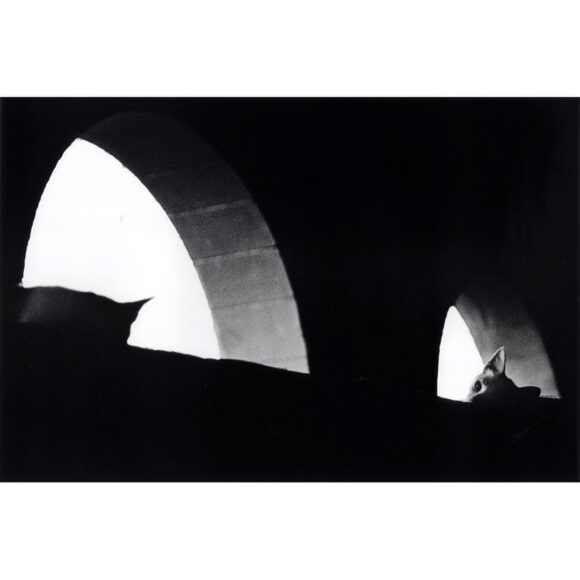 © Walter Rothwell / Instagram