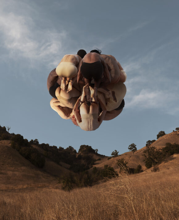 © Rob Woodcox