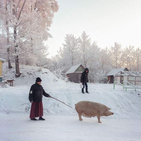 © Dmitri Markov