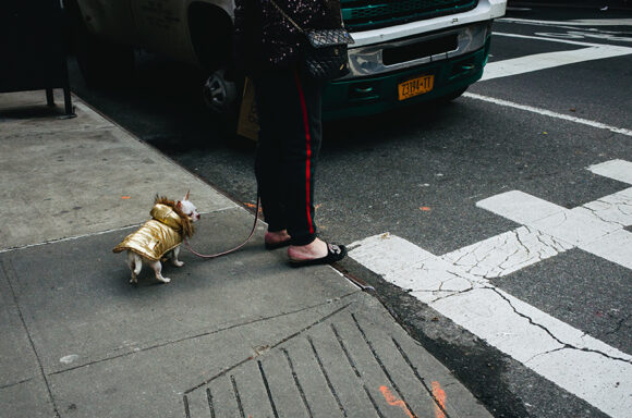 © Bénédicte Karyotis