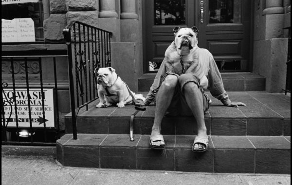 © Elliott Erwitt / Magnum Photos