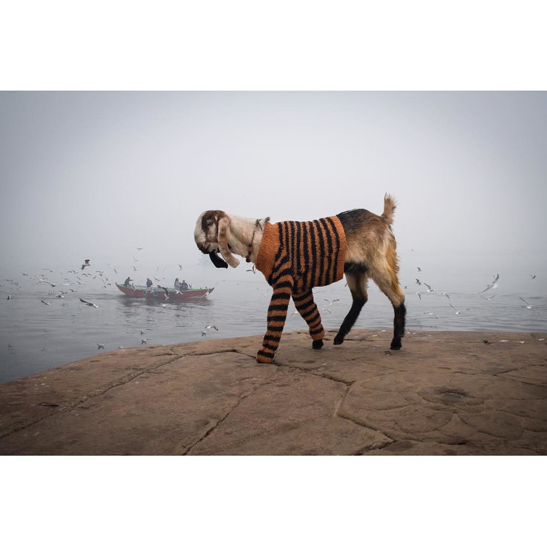 © Eva Erdmann / Instagram
