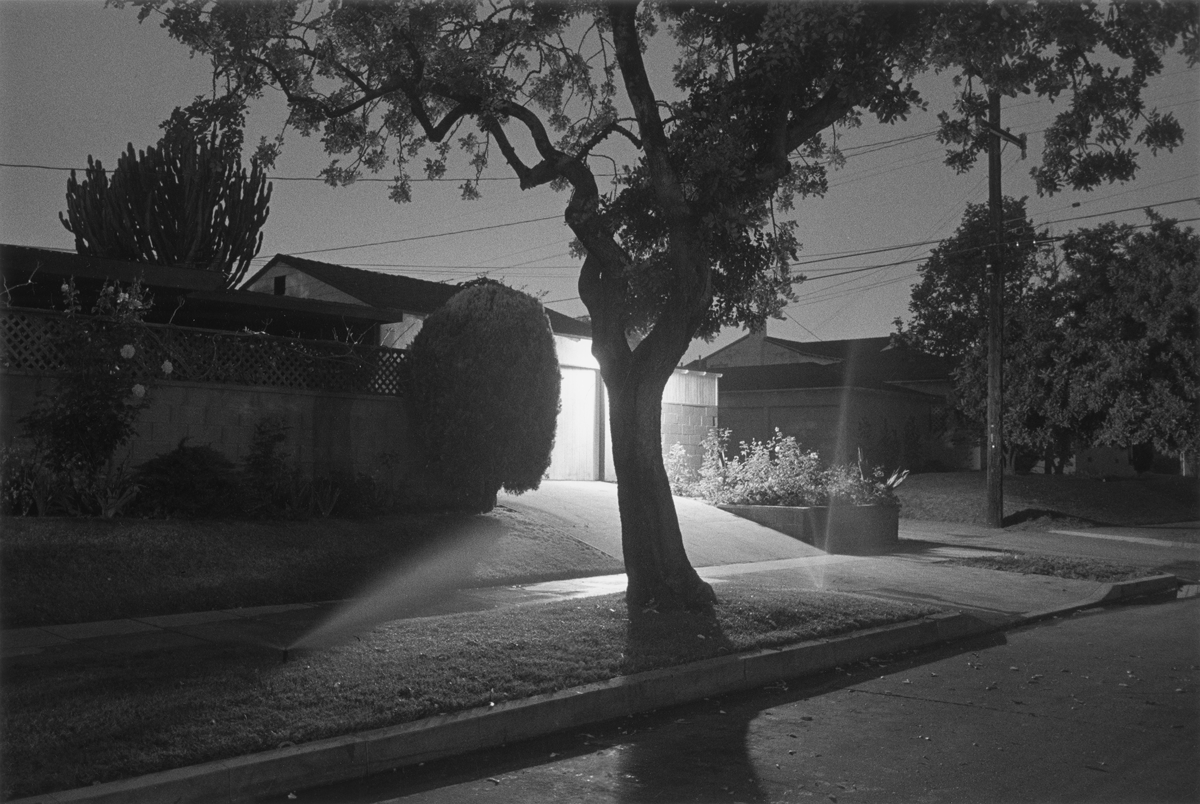 © Henry Wessel