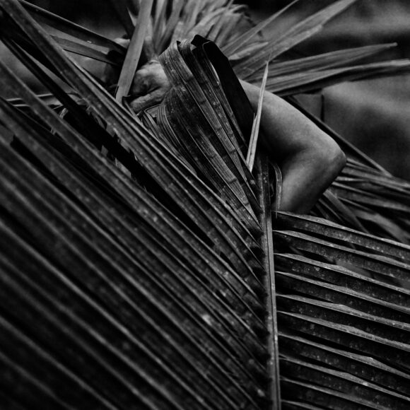 © Ludovic Carème