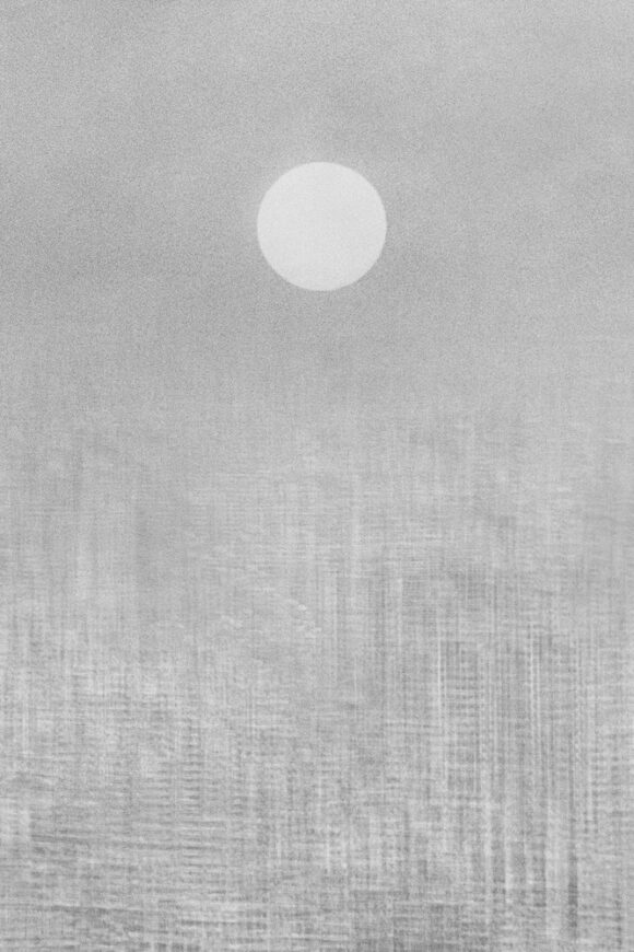 © Renato-D'Agostin / Courtesy Galerie Thiery Bigaignon