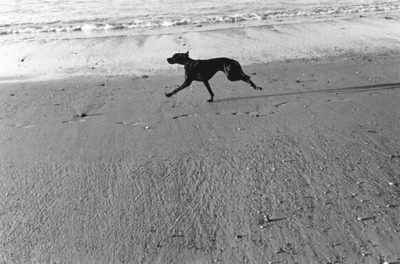 © Robin Eyraud