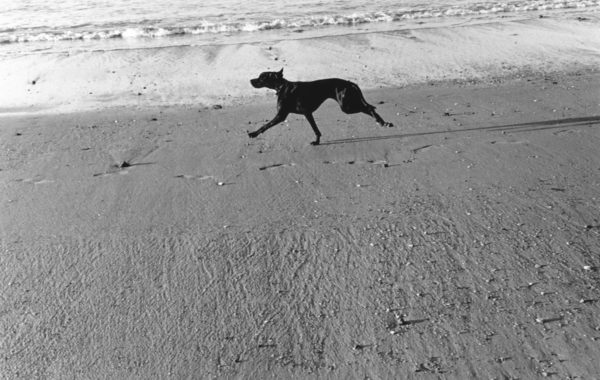 © Robin Eyraud