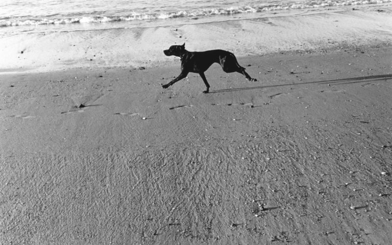 © Robin Eyraud