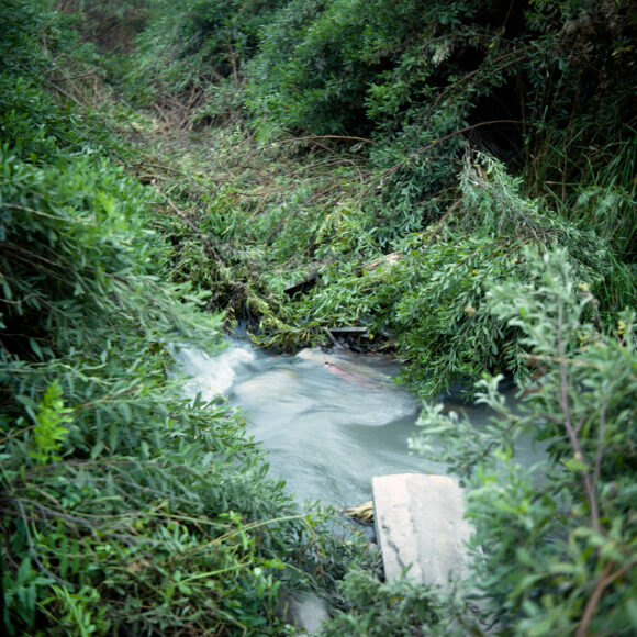 © Cristóbal Olivares