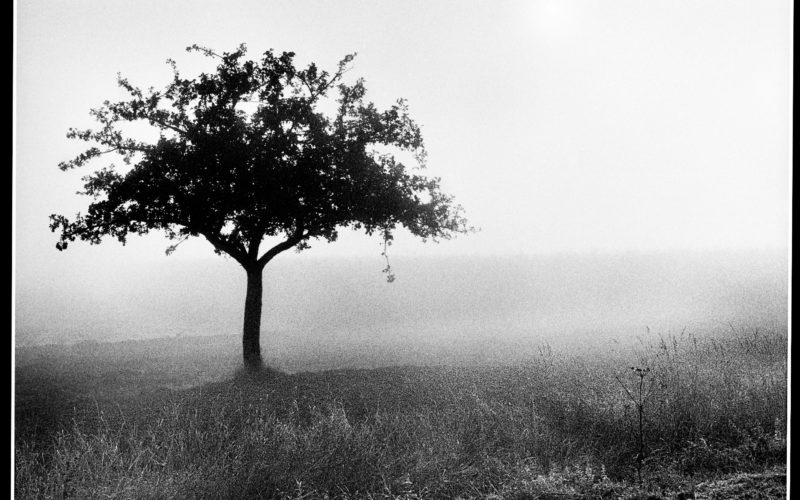 © Annie Duperey