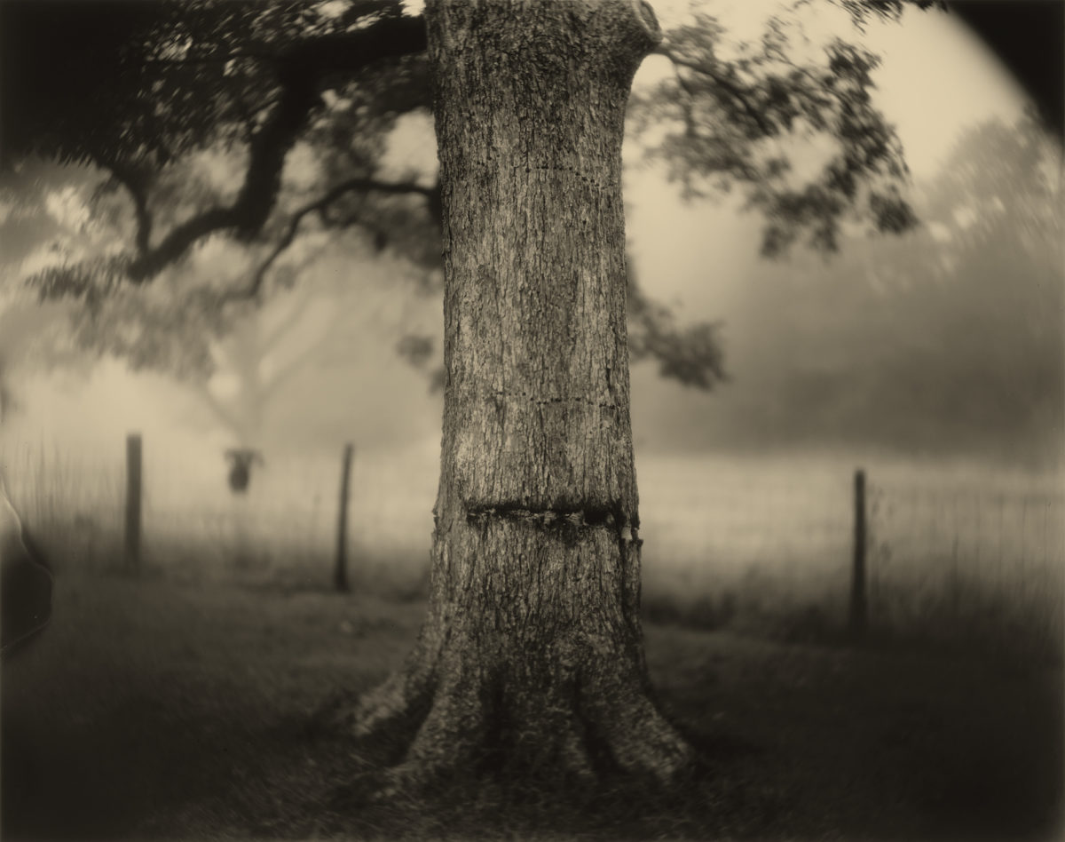 © Sally Mann