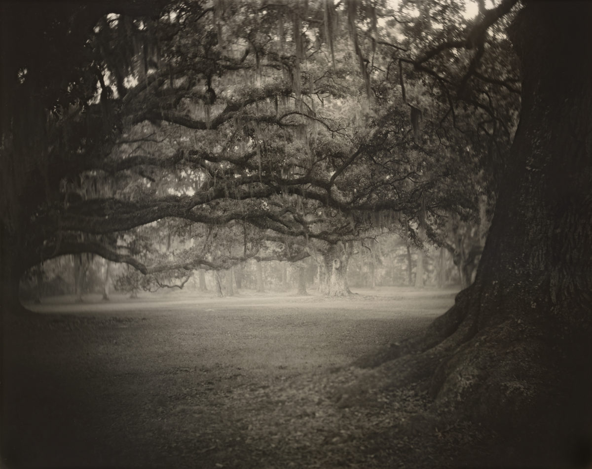 © Sally Mann
