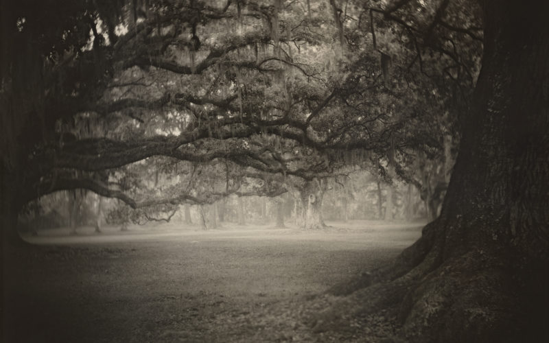 © Sally Mann