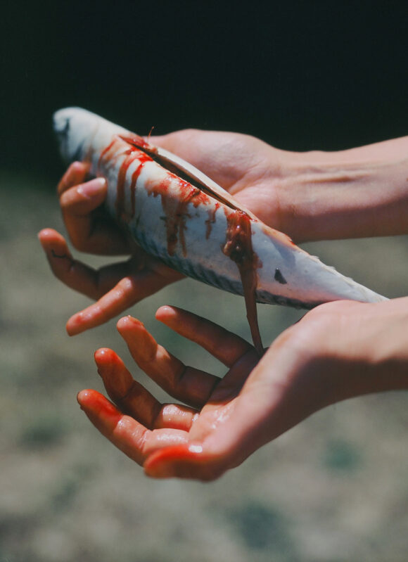 © Lucile Boiron