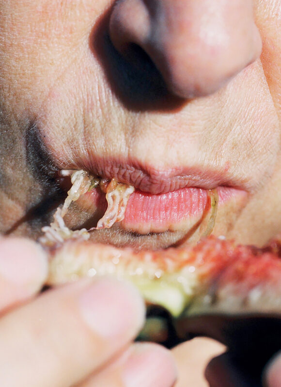 © Lucile Boiron