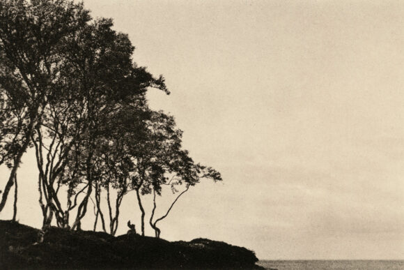 © Olivier Marchesi