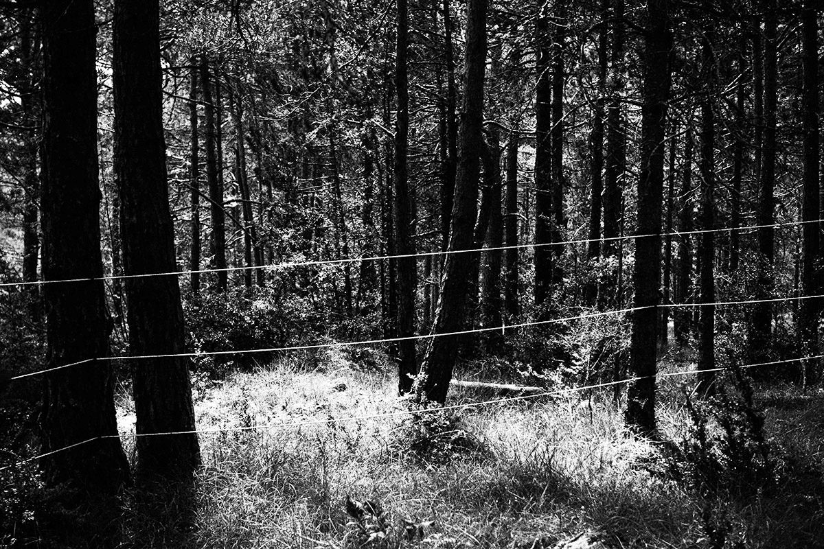 © Romain Philippon
