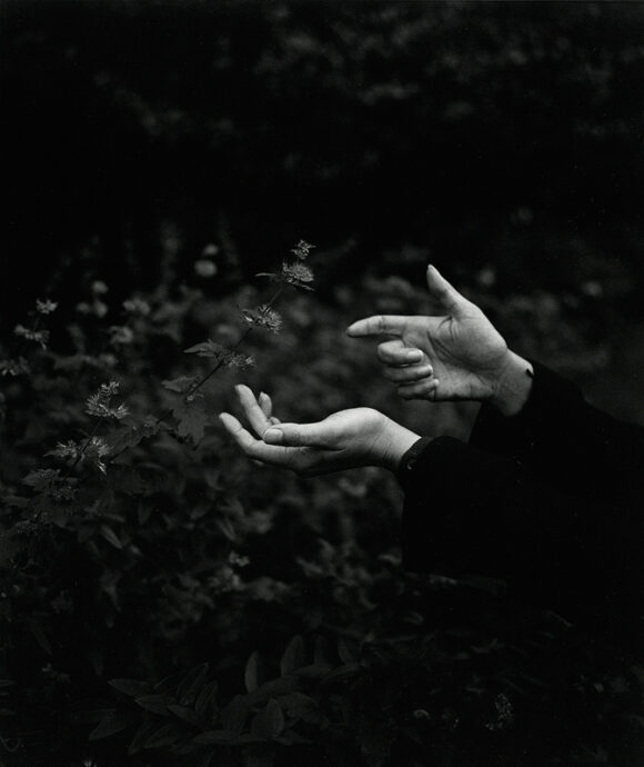 © Maria Baoli