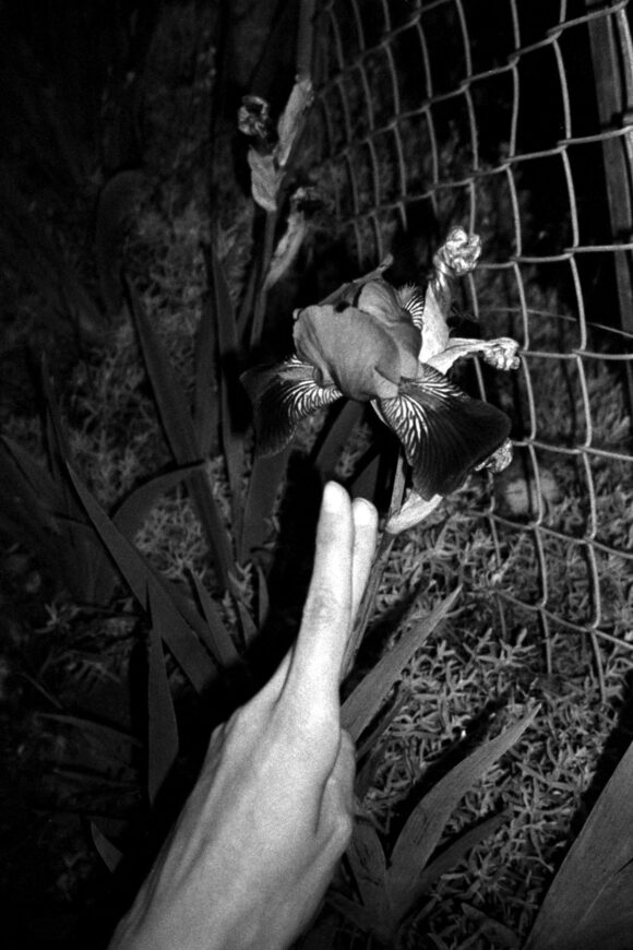 © Maria Baoli