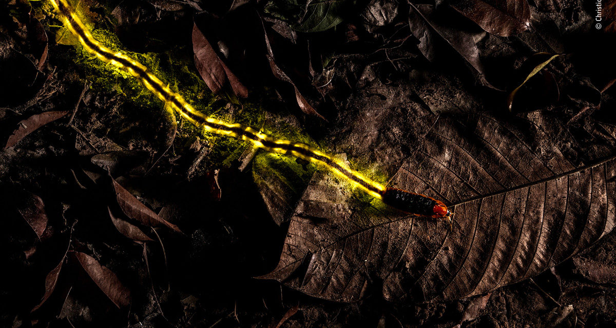 © Christian Wappl