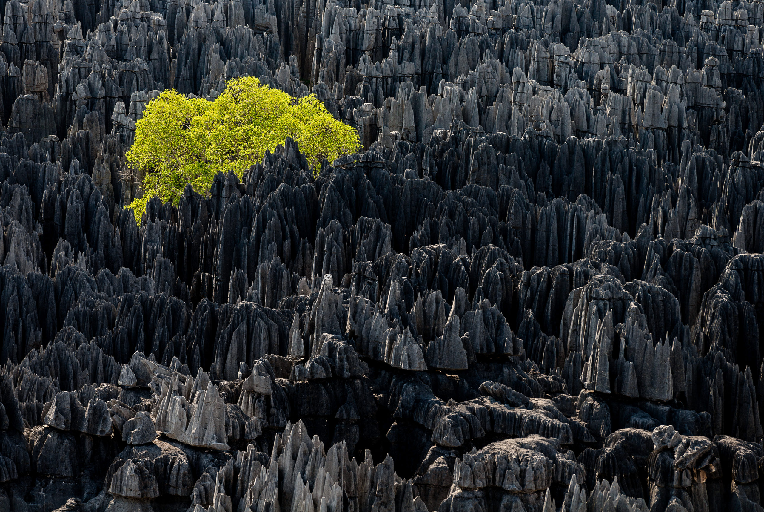 © Yann Arthus-Bertrand