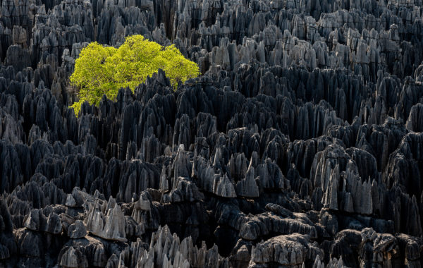 © Yann Arthus-Bertrand