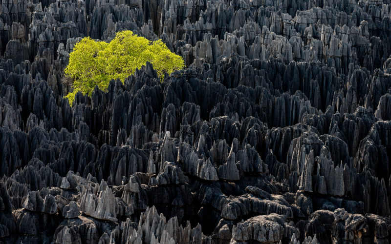 © Yann Arthus-Bertrand