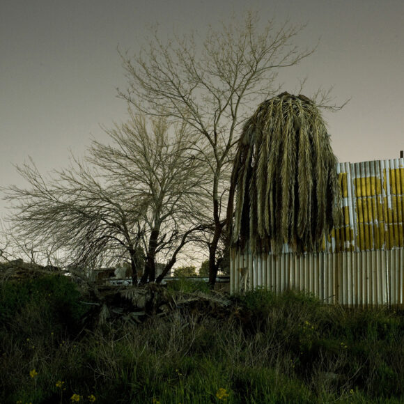 © Babis Kougemitros