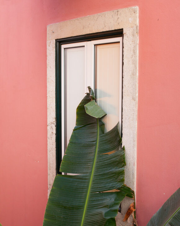 © Julien Babigeon