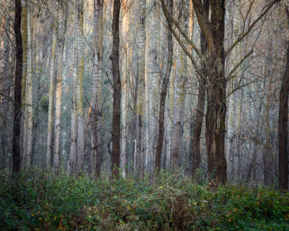 © Guillaume Herbaut