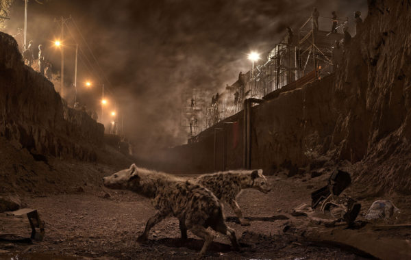 © Nick Brandt