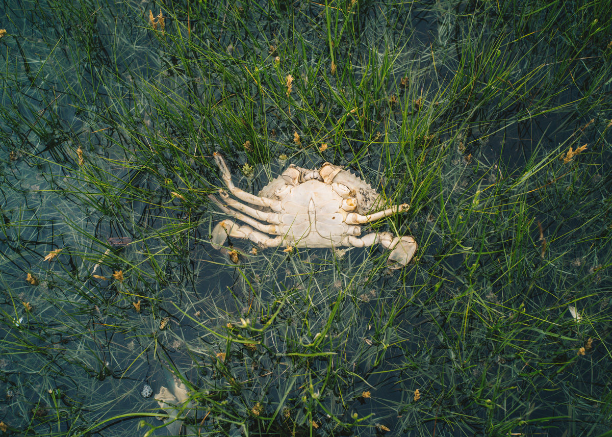 © Sébastien Leban