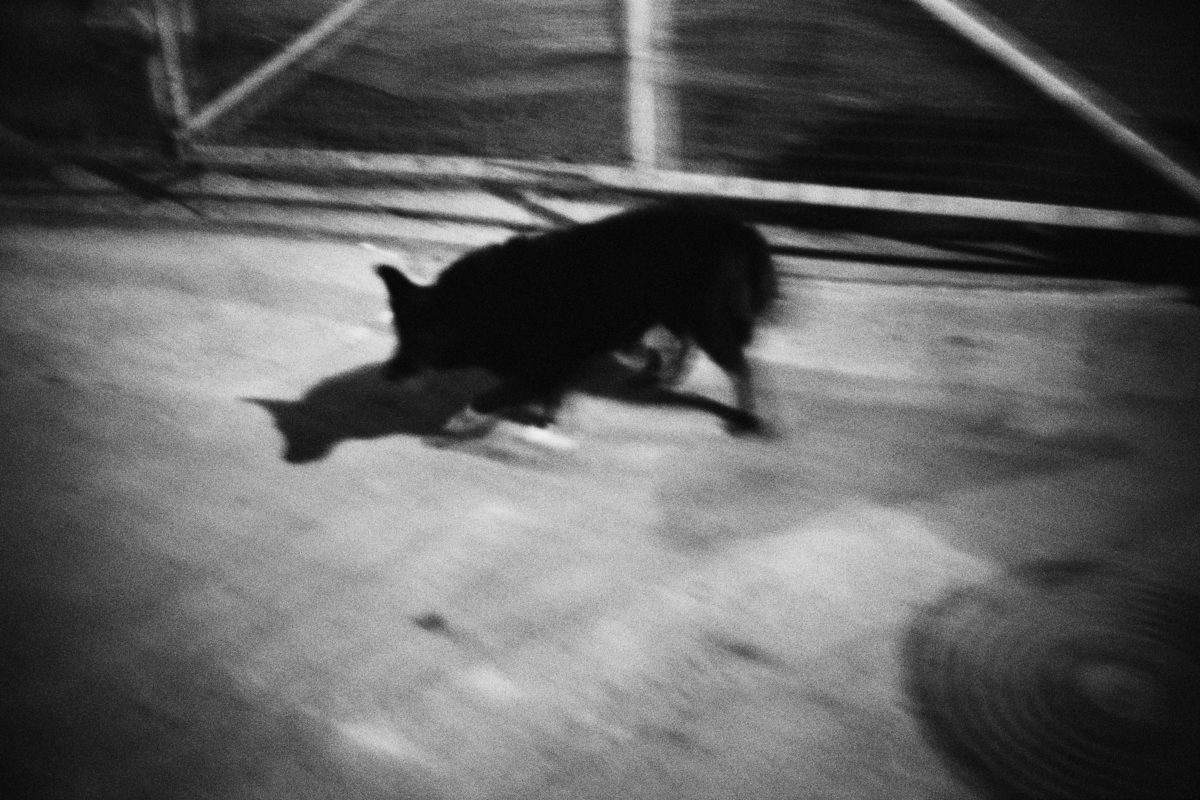 © M.H. Frøslev