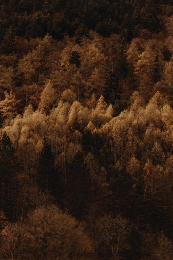 © Charlotte Lapalus