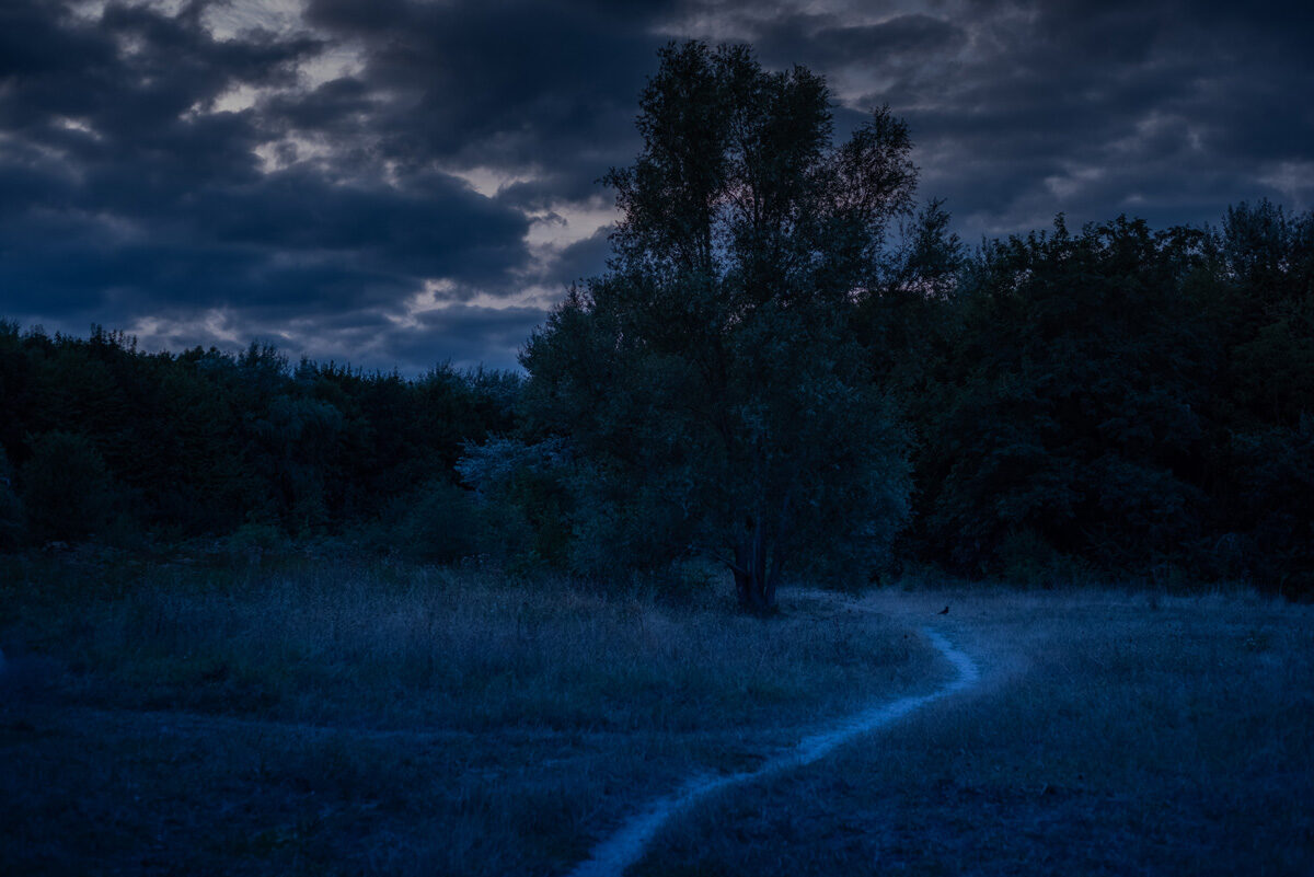 © Robert Hyde