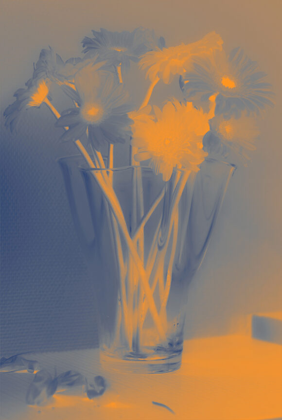 © Rosanna Lefeuvre