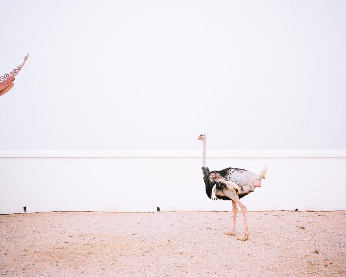 © Zhang Xiao