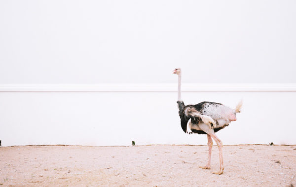 © Zhang Xiao