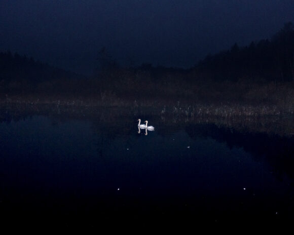 © Andréa Mantovani