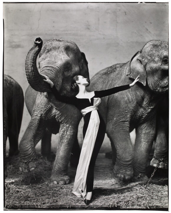 © Richard Avedon / The Richard Avedon Foundation