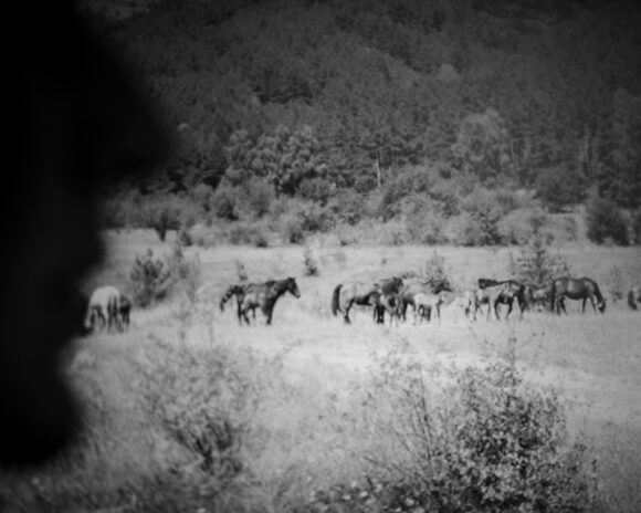 © Arnaud Brihay