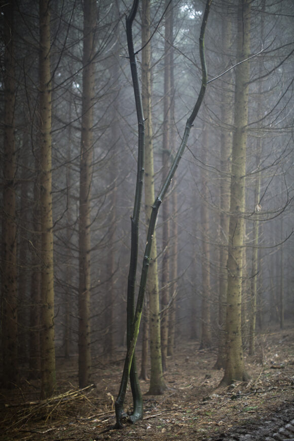 © Denis Darzacq