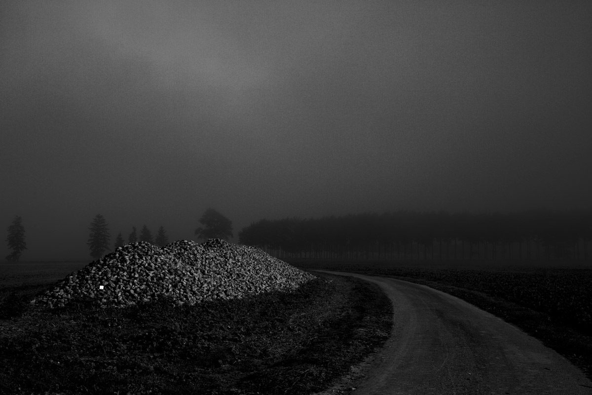 © Didier Barcelo