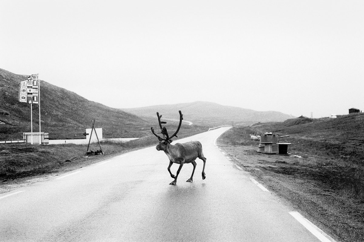 © Jef Bonifacino