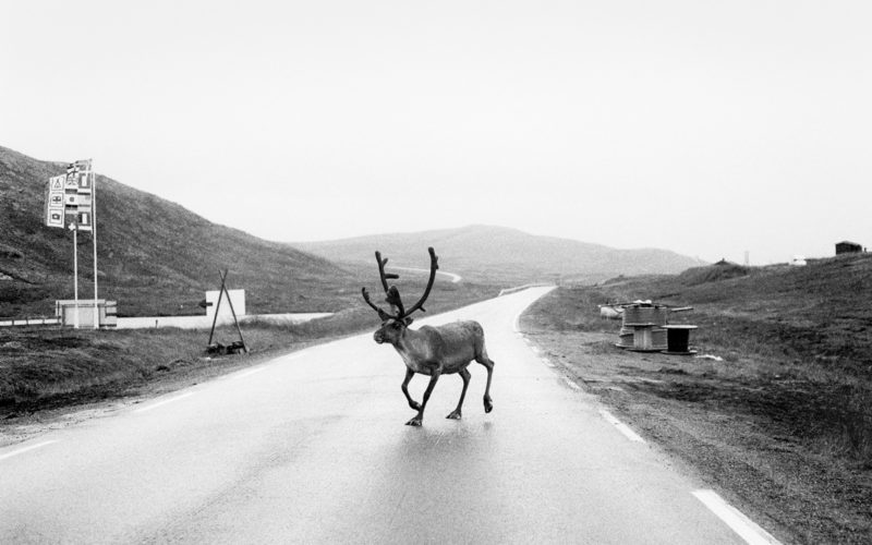 © Jef Bonifacino