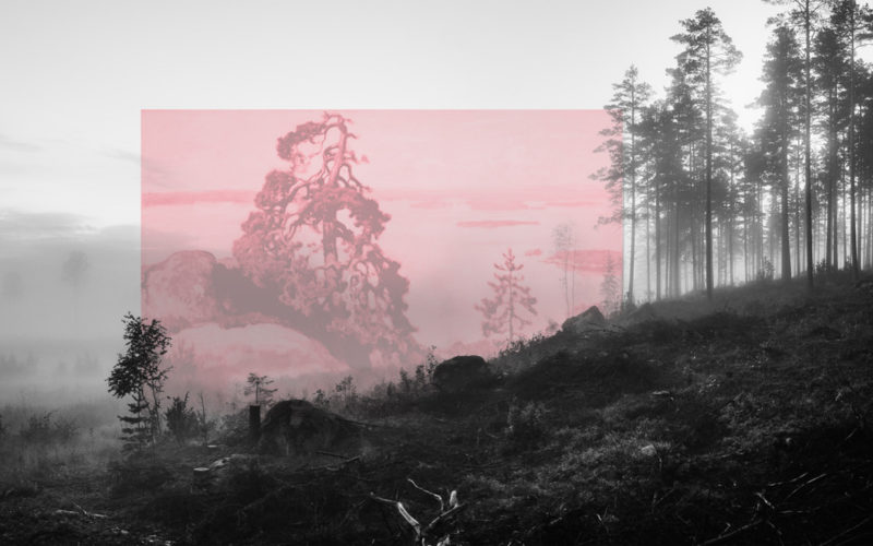 © Jaakko Kahilaniemi