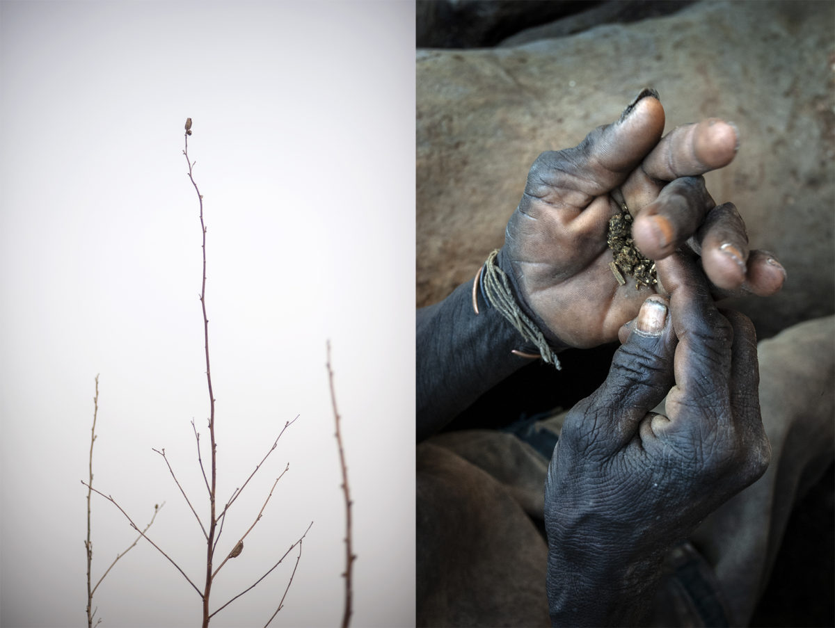 © Marie-Hélène Labat